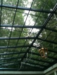 Glasdach Orangerie, Bonn